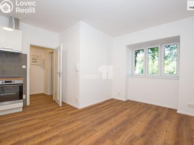 Аренда квартиры 1+KK Liberec, Chrastavská č. 3