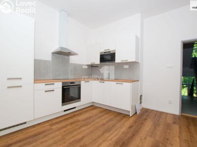 Аренда квартиры 2+KK Liberec, Chrastavská č. 4