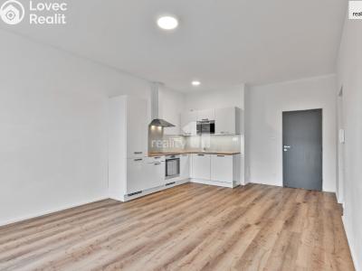 Аренда квартиры 2+KK Liberec, Chrastavská č. 26