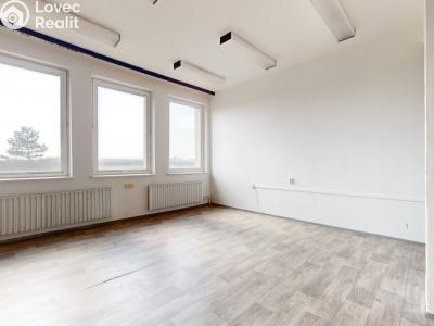 Rent office space Velké Bílovice, Podivínská 1236 č. 1