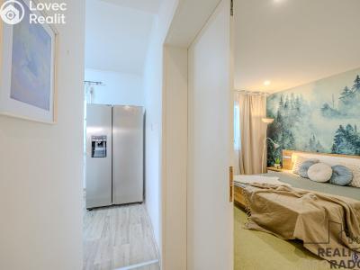 Rent apartment 2+1 Ostrava, Závodní č. 4