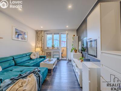 Rent apartment 2+1 Ostrava, Závodní č. 5