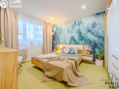 Rent apartment 2+1 Ostrava, Závodní č. 7
