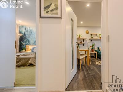 Rent apartment 2+1 Ostrava, Závodní č. 10