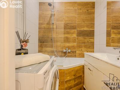 Rent apartment 2+1 Ostrava, Závodní č. 12