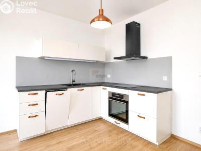 Аренда квартиры 2+KK Praha, Bermanova č. 2