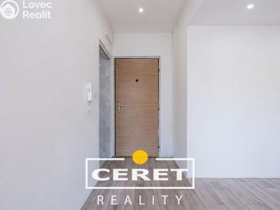 Аренда квартиры 1+1 Žatec č. 5
