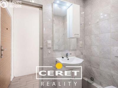 Аренда квартиры 1+1 Žatec č. 6