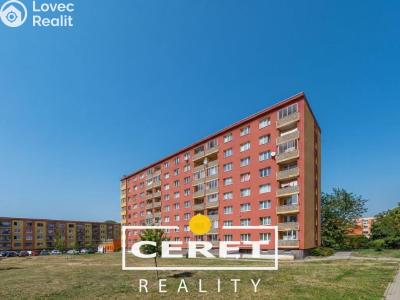 Аренда квартиры 1+1 Žatec č. 8
