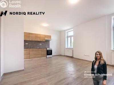 Rent apartment 1+KK Teplice, Emilie Dvořákové č. 1