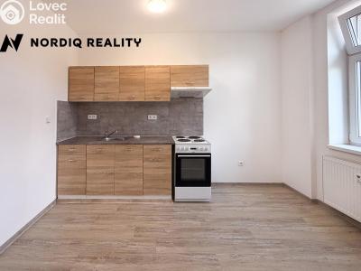 Rent apartment 1+KK Teplice, Emilie Dvořákové č. 3