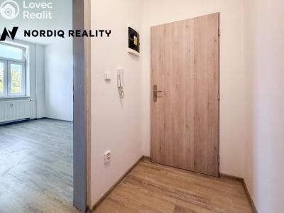 Rent apartment 1+KK Teplice, Emilie Dvořákové č. 8