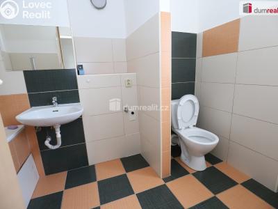 Rent apartment 2+1 Ostrov, Jáchymovská č. 14