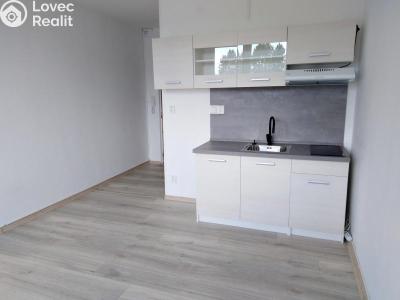 Оренда квартири 1+KK Jihlava, Okružní č. 2