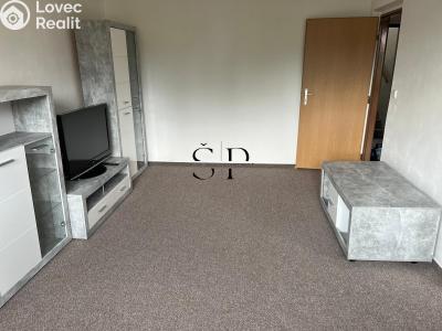 Rent apartment 2+1 Nejdek, Okružní č. 2
