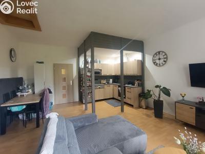 Rent apartment 2+KK Sokolov, Smetanova č. 6