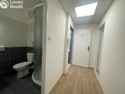 Аренда квартиры 2+KK Staré Hradiště, U Pošty 15 č. 7