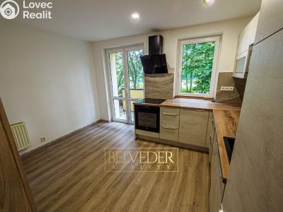 Rent apartment 2+1 Teplice, Bílinská č. 3