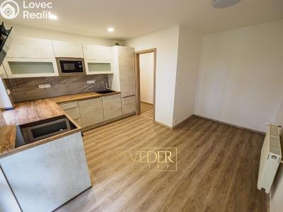 Rent apartment 2+1 Teplice, Bílinská č. 5