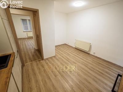 Rent apartment 2+1 Teplice, Bílinská č. 7