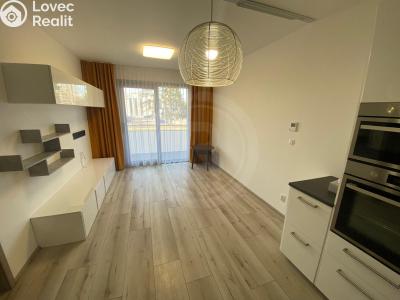 Аренда квартиры 3+KK České Budějovice, Na Zlaté stoce č. 4