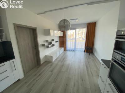 Аренда квартиры 3+KK České Budějovice, Na Zlaté stoce č. 6