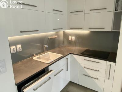 Аренда квартиры 3+KK České Budějovice, Na Zlaté stoce č. 8