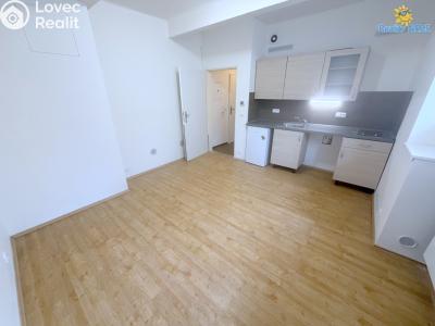 Аренда квартиры 1+KK Praha, U družstva Ideál č. 2
