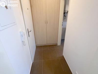 Аренда квартиры 1+KK Praha, U družstva Ideál č. 8