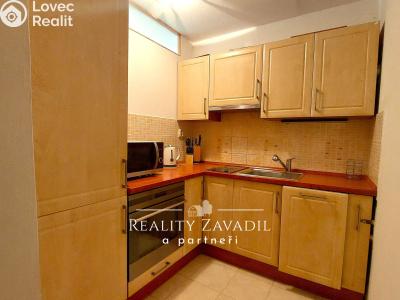 Rent apartment 2+1 Praha, Za dvorem č. 4