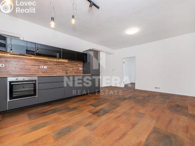 Rent apartment 3+KK Husinec, Hlavní 77 č. 1