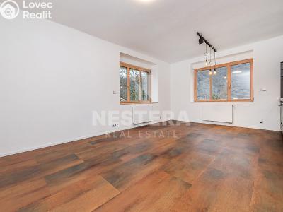 Rent apartment 3+KK Husinec, Hlavní 77 č. 8