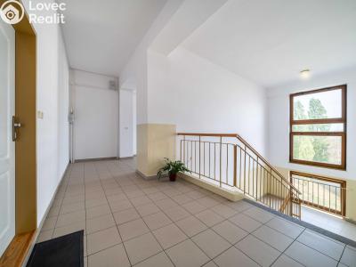 Продаж квартири 2+1 Klatovy, Hálkova 132 č. 20