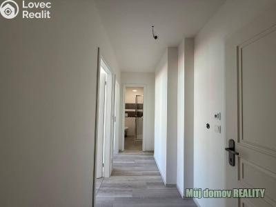 Аренда квартиры 1+1 Praha, Vacínova č. 4