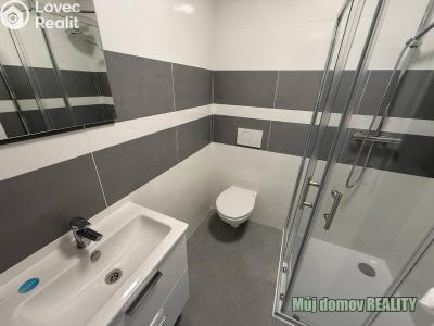 Аренда квартиры 1+1 Praha, Vacínova č. 5