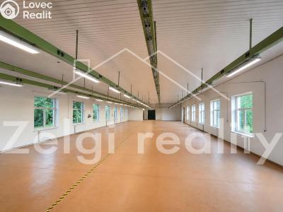 Rent warehouse Strážnice, Veselská 3 č. 1
