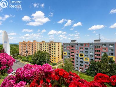 Prodej bytu 3+1 Jirkov, Pionýrů č. 21