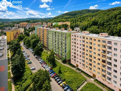 Prodej bytu 3+1 Jirkov, Pionýrů č. 7
