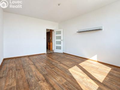 Prodej bytu 3+1 Jirkov, Pionýrů č. 11