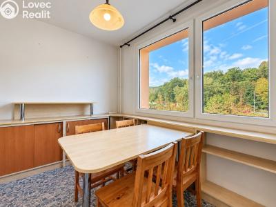 Sale apartment 3+1 Jirkov, Pionýrů č. 29