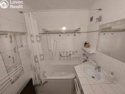 Sale apartment 3+1 Praha, Nechvílova č. 6