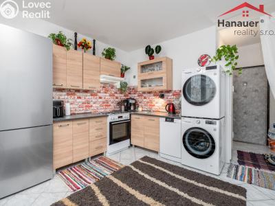 Prodej bytu 1+1 Ústí nad Labem, Peškova 531 č. 2
