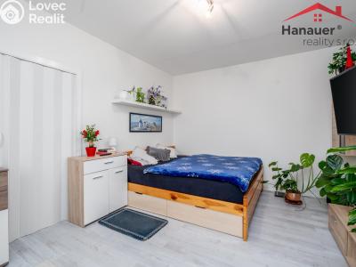 Prodej bytu 1+1 Ústí nad Labem, Peškova 531 č. 3