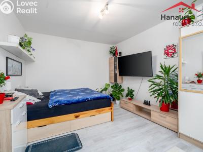 Prodej bytu 1+1 Ústí nad Labem, Peškova 531 č. 7