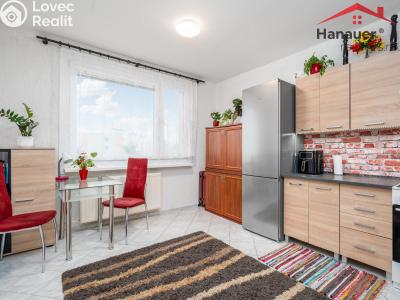 Prodej bytu 1+1 Ústí nad Labem, Peškova 531 č. 10