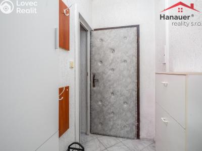 Prodej bytu 1+1 Ústí nad Labem, Peškova 531 č. 11