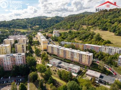 Prodej bytu 1+1 Ústí nad Labem, Peškova 531 č. 12