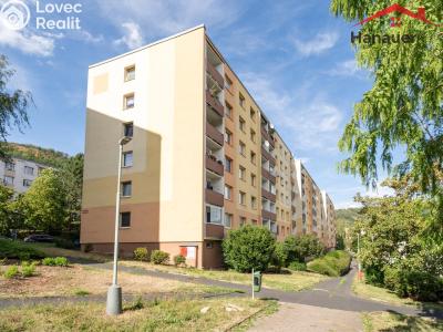 Prodej bytu 1+1 Ústí nad Labem, Peškova 531 č. 13