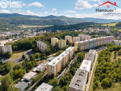 Prodej bytu 1+1 Ústí nad Labem, Peškova 531 č. 16