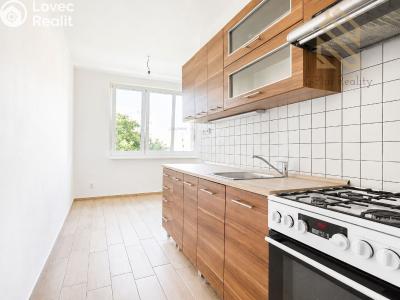 Rent apartment 2+1 Louny, Jana Švermy 2054 č. 2